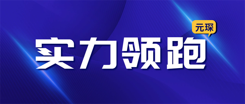 实力领跑，888电子脱硝领域再创佳绩！